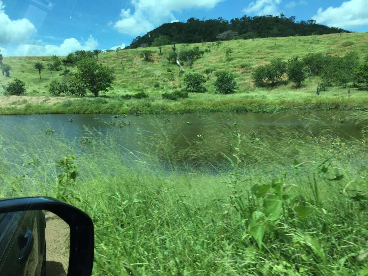 Fazenda Ibiquera Bahia 653 Hectares Região Itaberaba Oportunidade