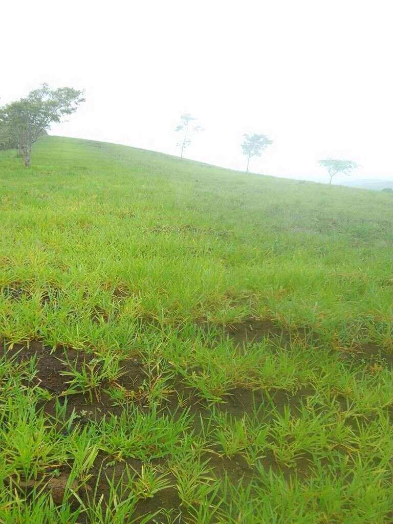 Fazenda Ubaíra Bahia 638 Tarefas - Rio Nascentes Riacho Reg. Santo Antônio de Jesus Oportunidade